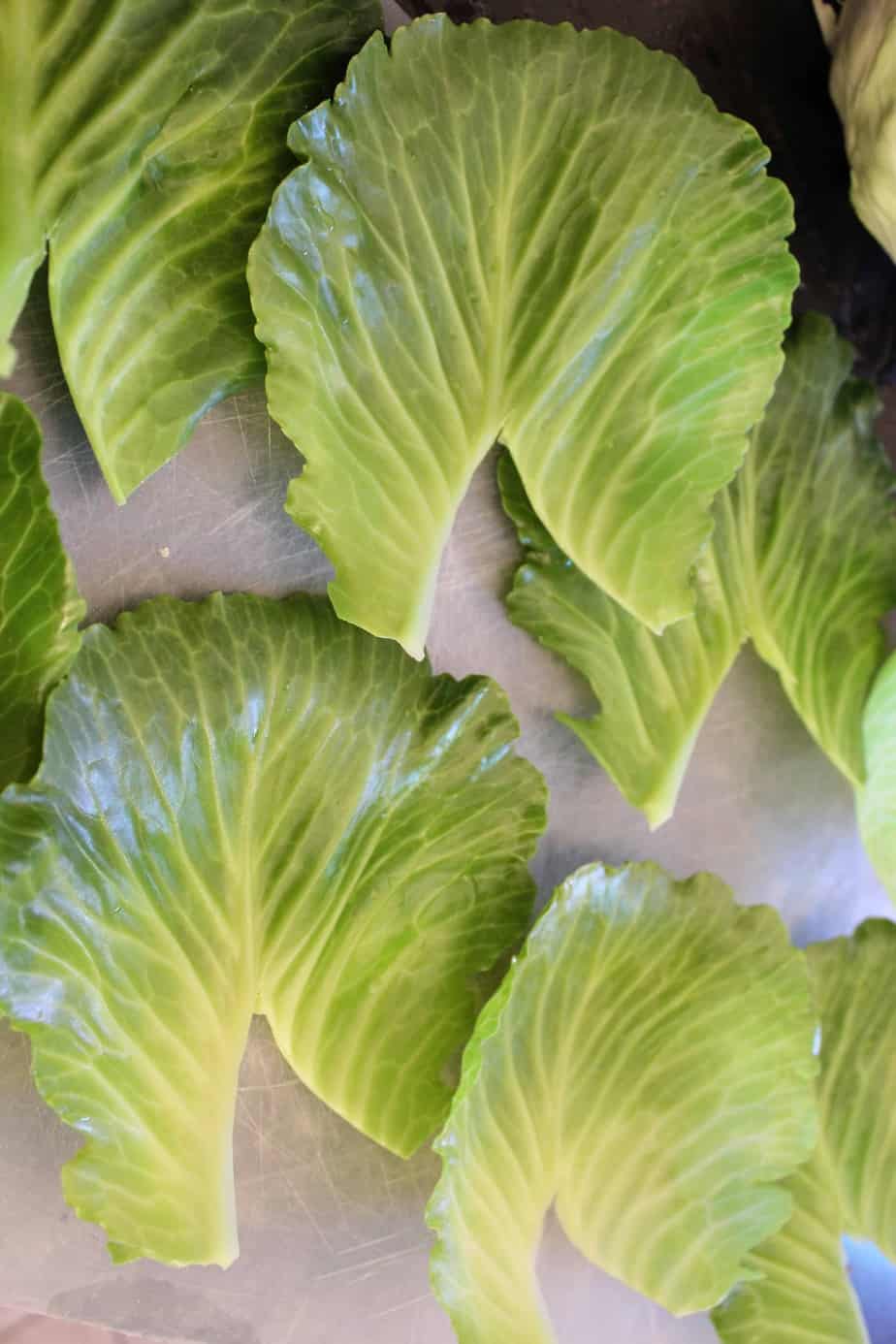 Prepped Cabbage Leaves.