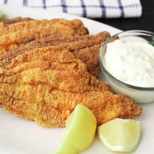 Fried catfish and tartar sauce