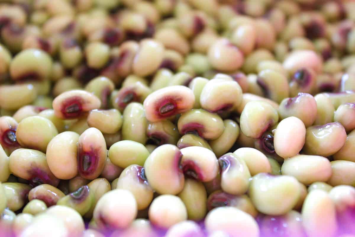 How to Cook and Season Southern Purple Hull Peas SmartyPantsKitchen