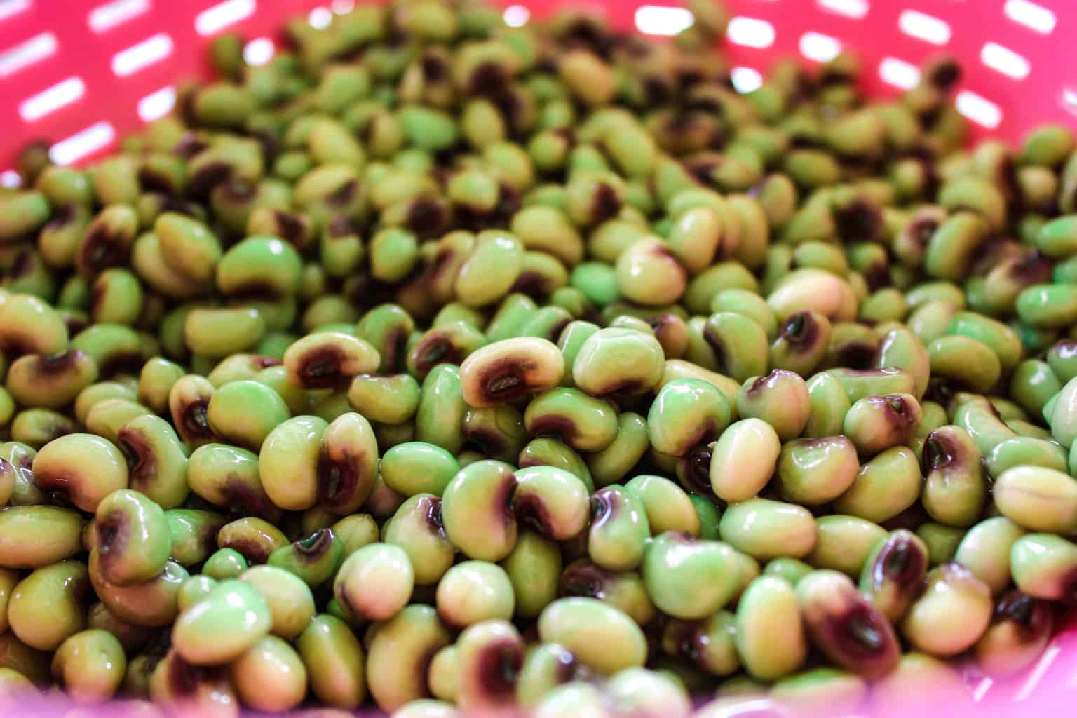 Purple hull peas in pink colander