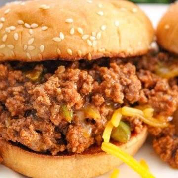 Homemade Sloppy Joe on white plate