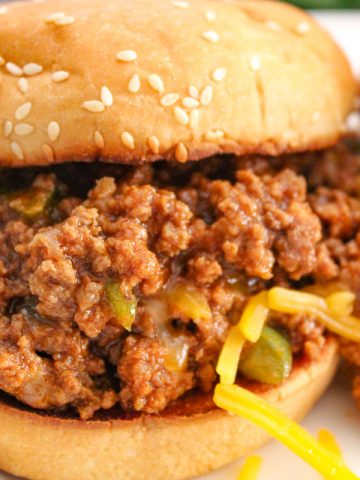 Homemade Sloppy Joe on white plate