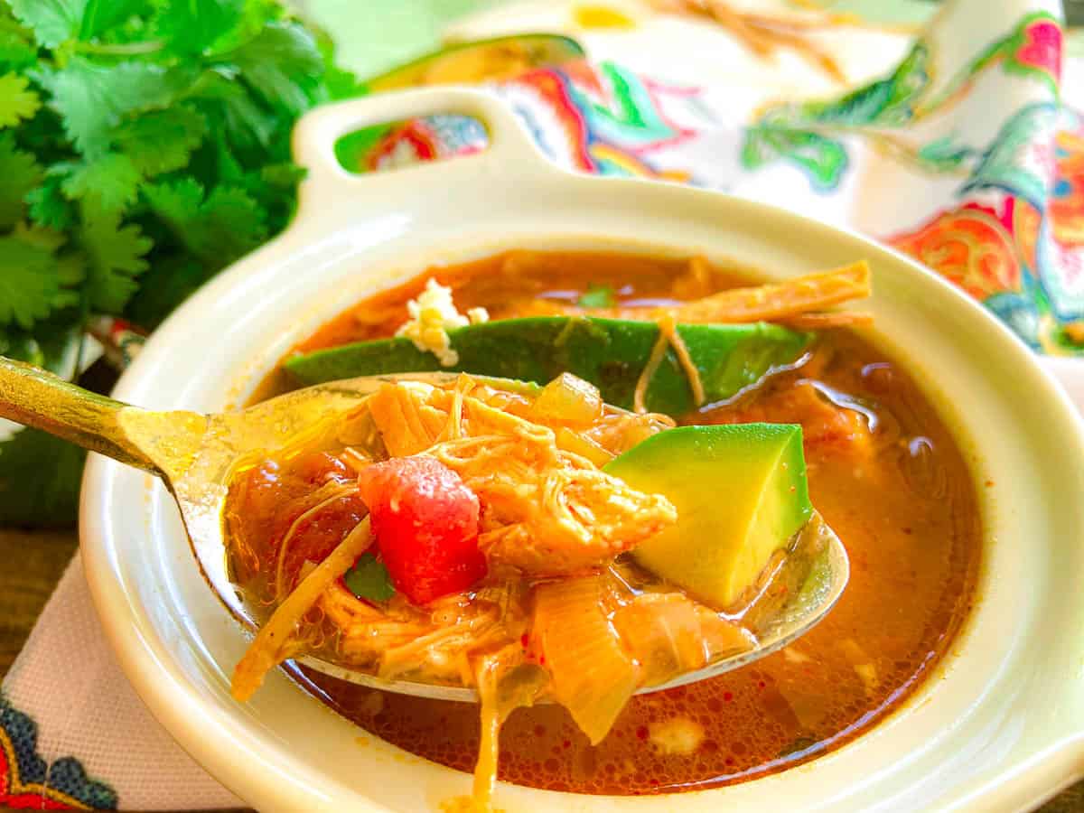 Tortilla soup on a spoon over bowl of soup