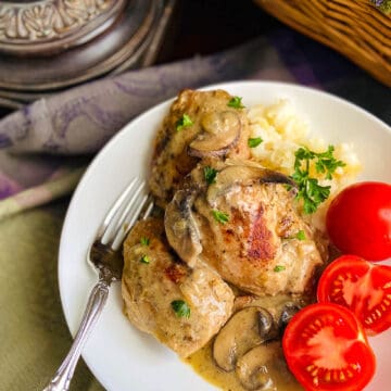 Chicken Fricassee on white plate with rice and tomatoes