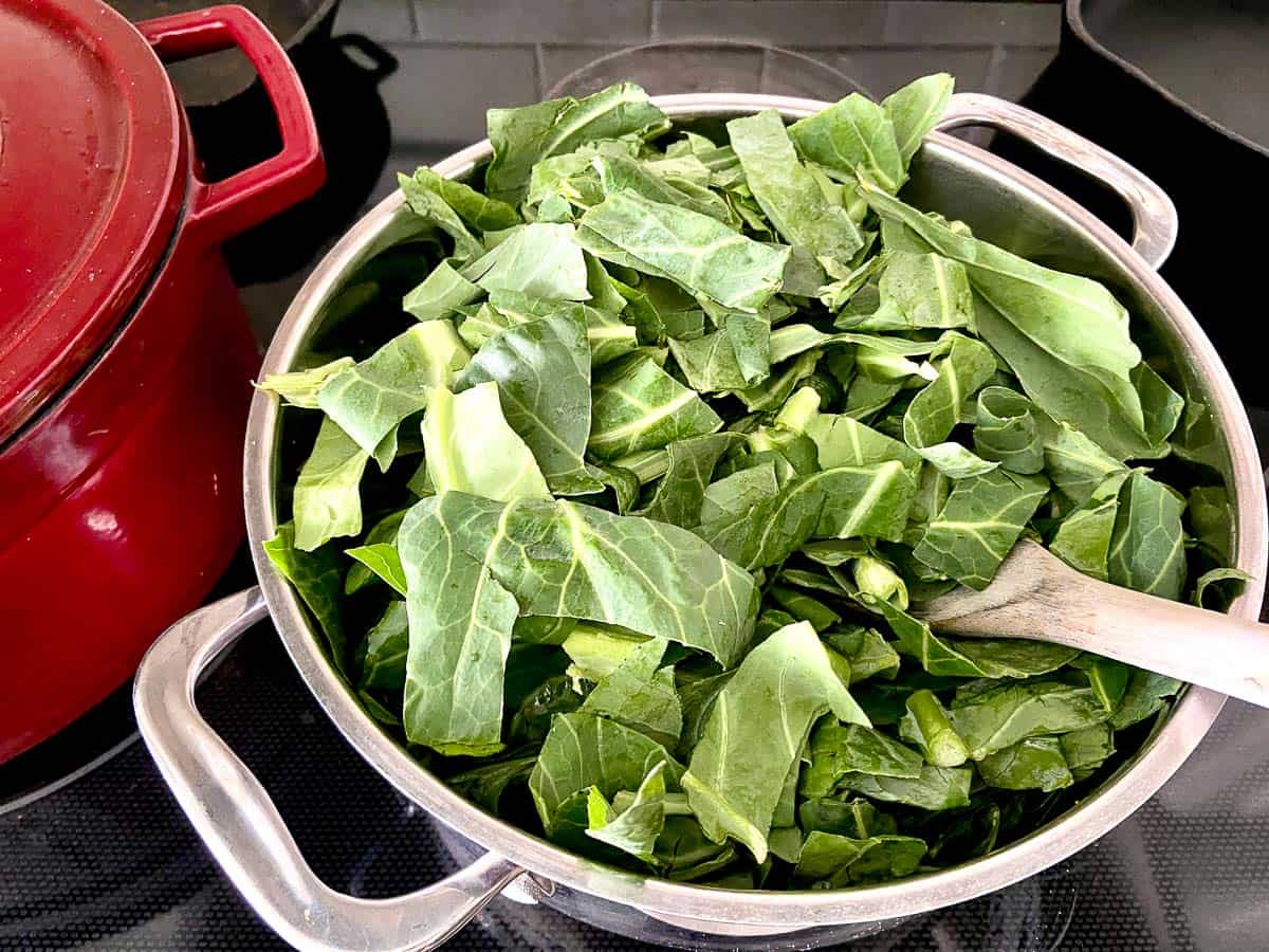 One pound of raw chopped collards in a stockpot.