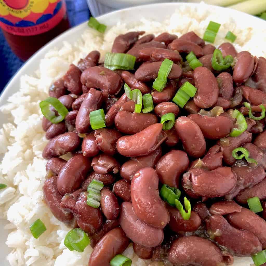 Close up of a bowl of red beans and rice garnished with green onion.