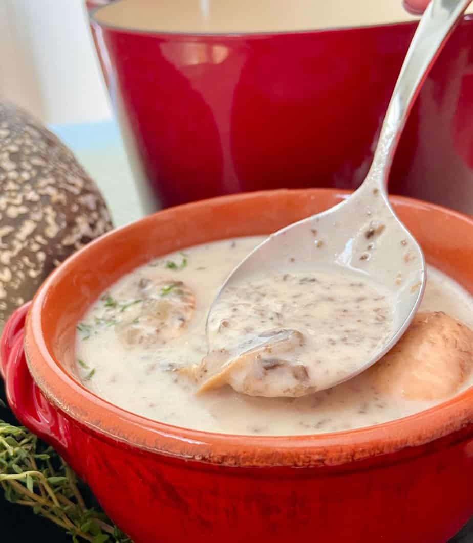 Mushroom soup being spooned out of red bowl.