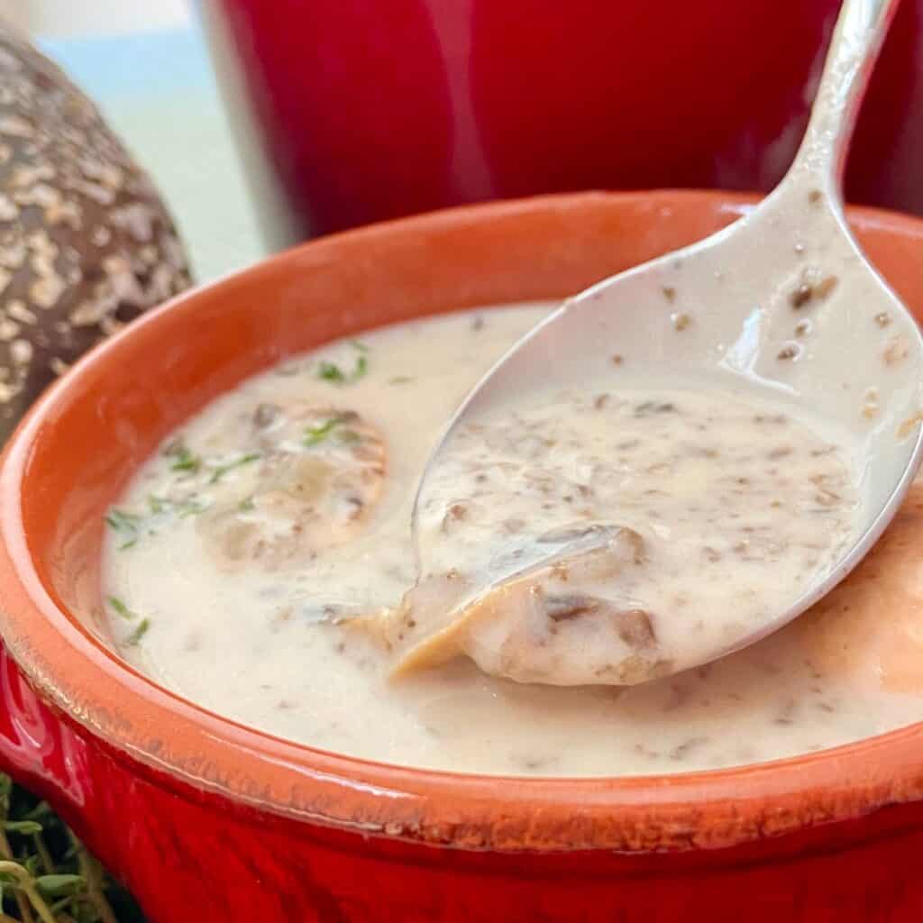 Cream of mushroom soup on a spoon coming out of a red ceramic bowl.