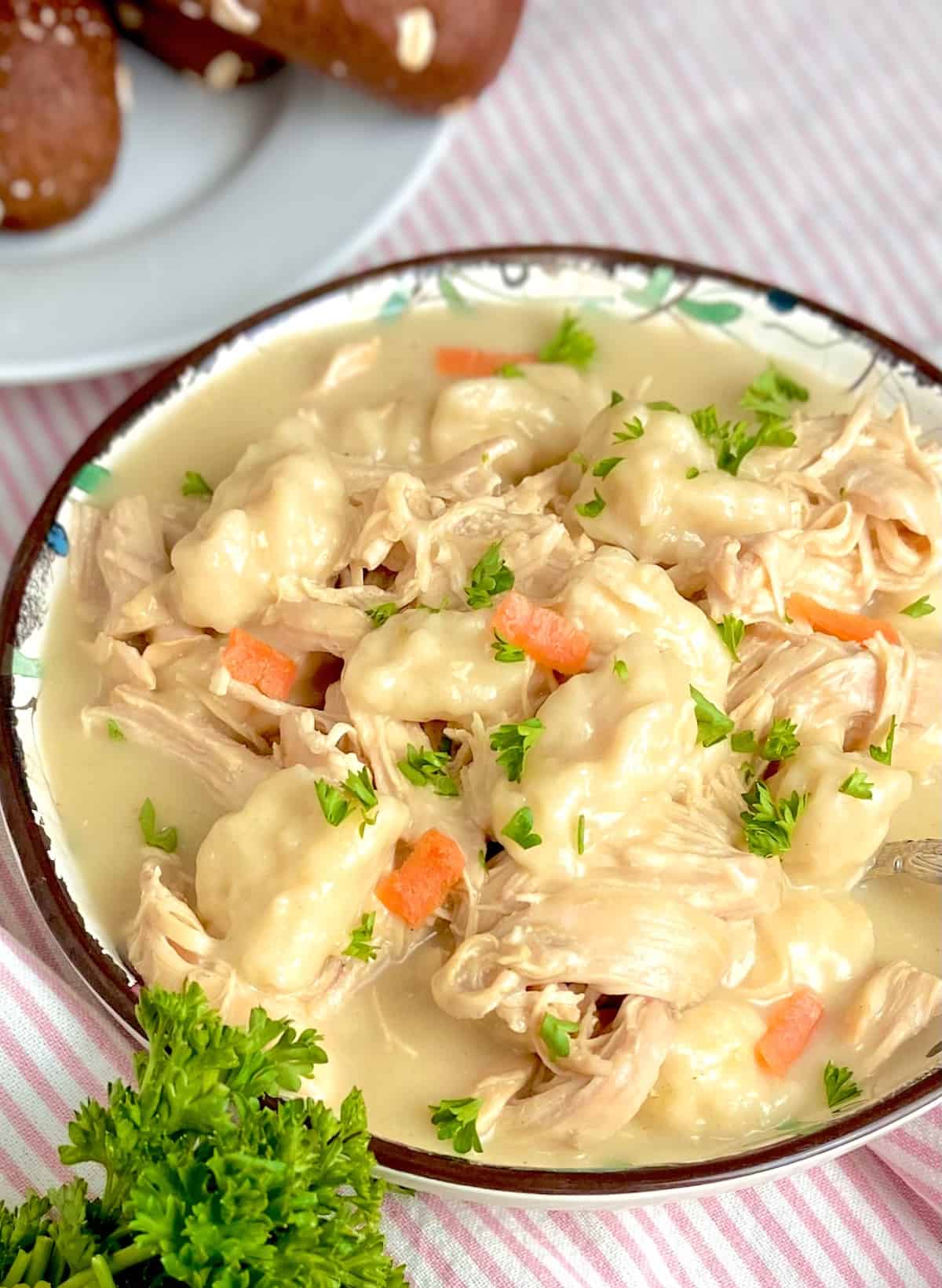 Chicken and dumplings in decorative bowl.