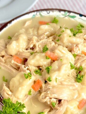 Chicken and dumplings in decorative bowl.