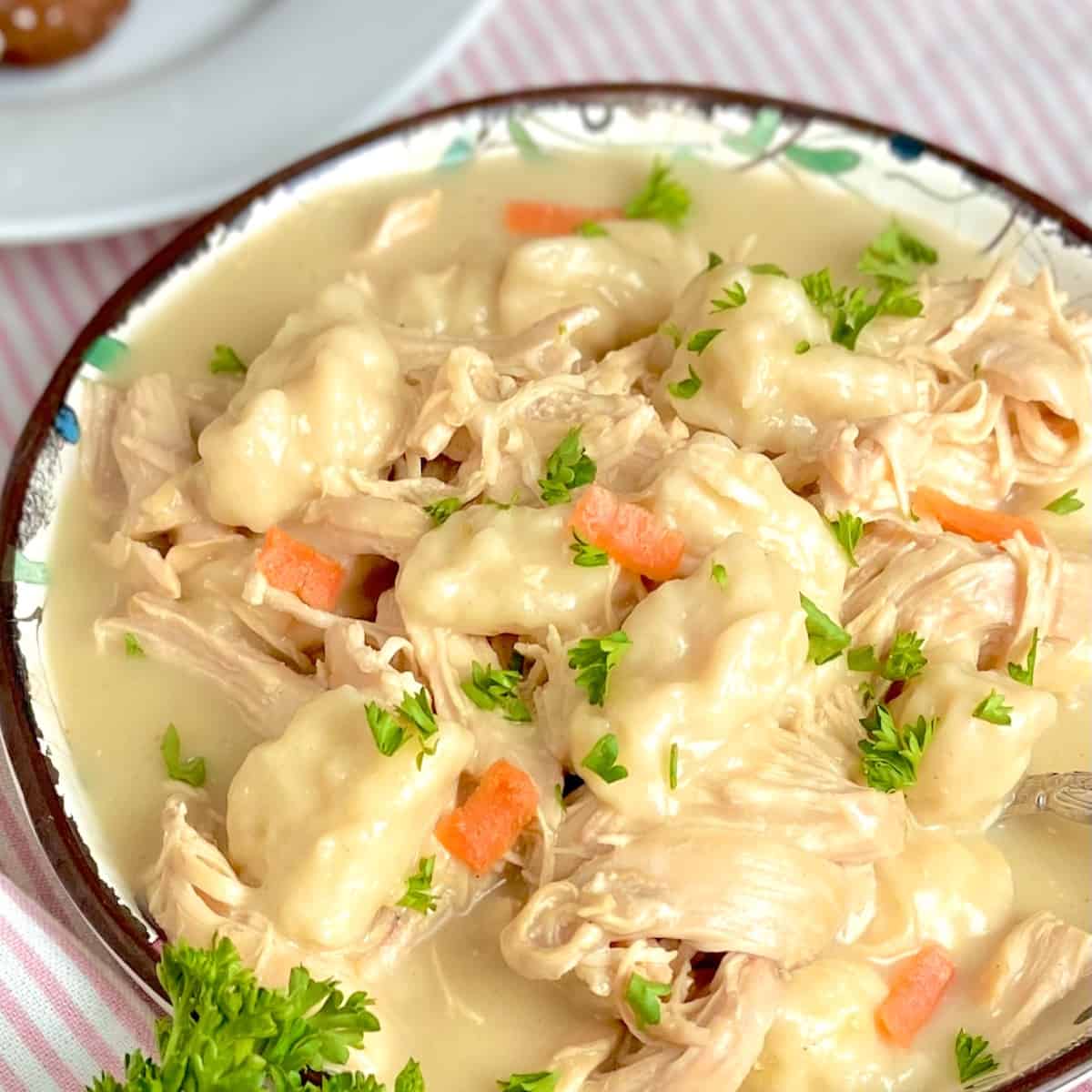 Chicken and dumplings in decorative bowl.