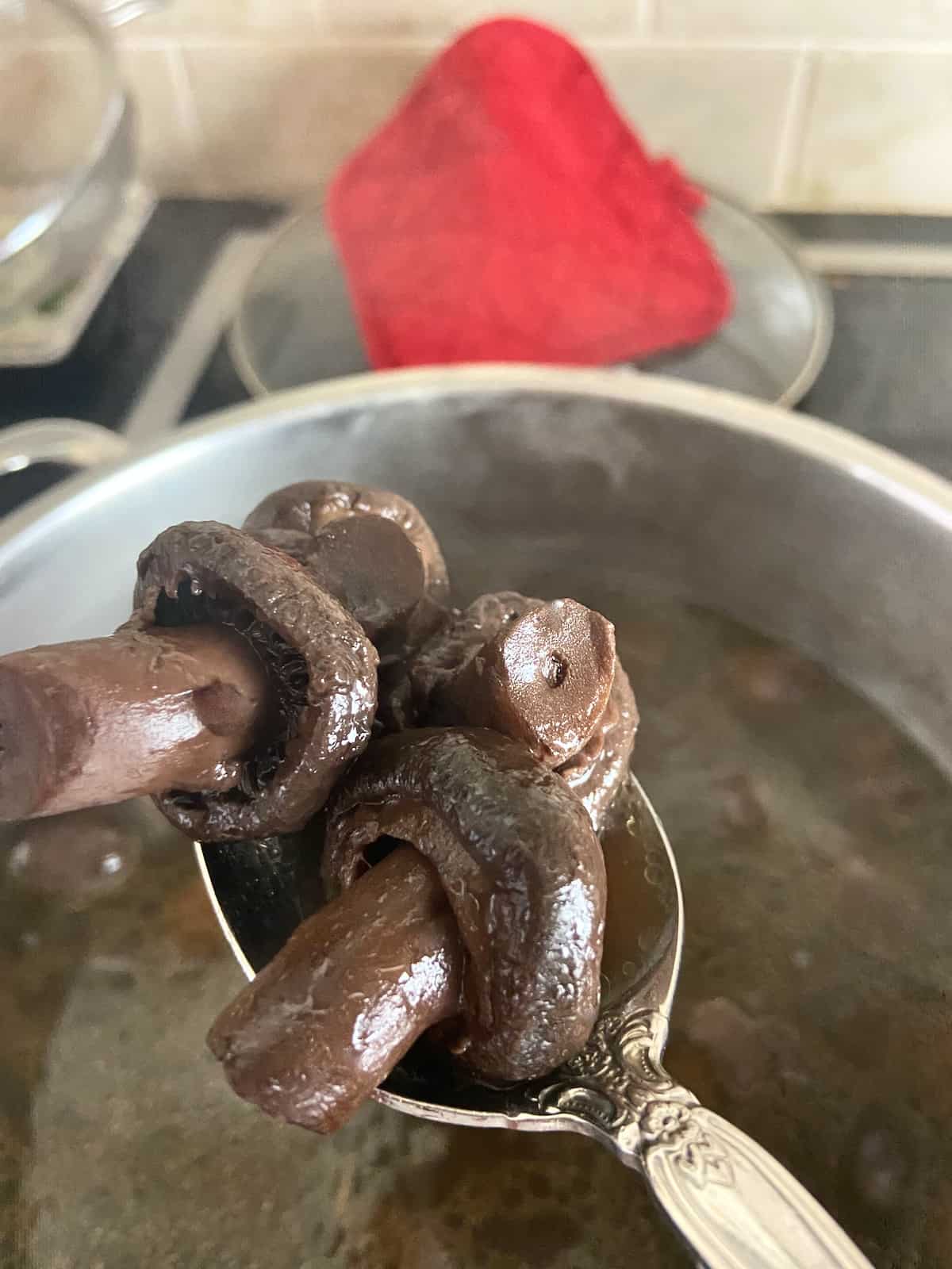 Red wine mushrooms on a spoon.